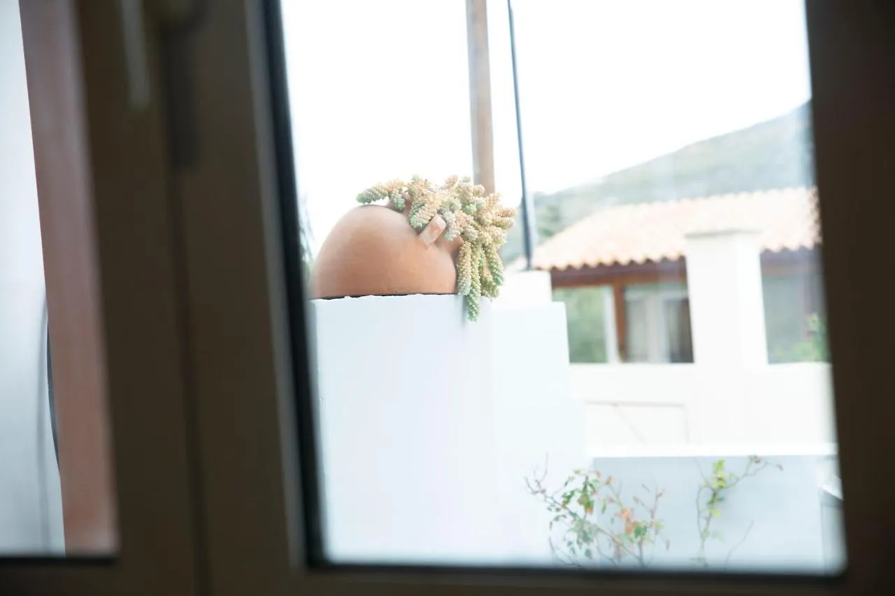Zorbas House Apartment Heraklion